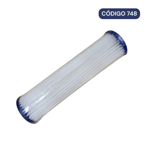 Cartucho / Plisado / 10x2,5 pulgadas